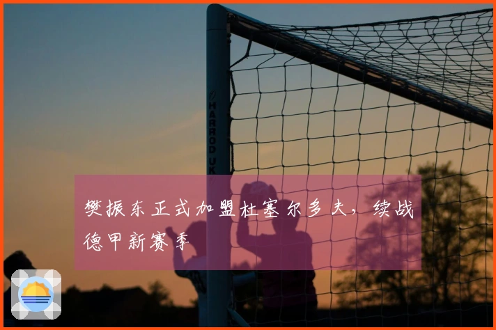 樊振东正式加盟杜塞尔多夫，续战德甲新赛季