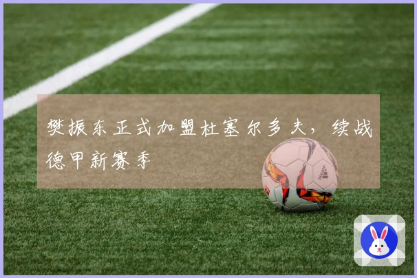 樊振东正式加盟杜塞尔多夫，续战德甲新赛季